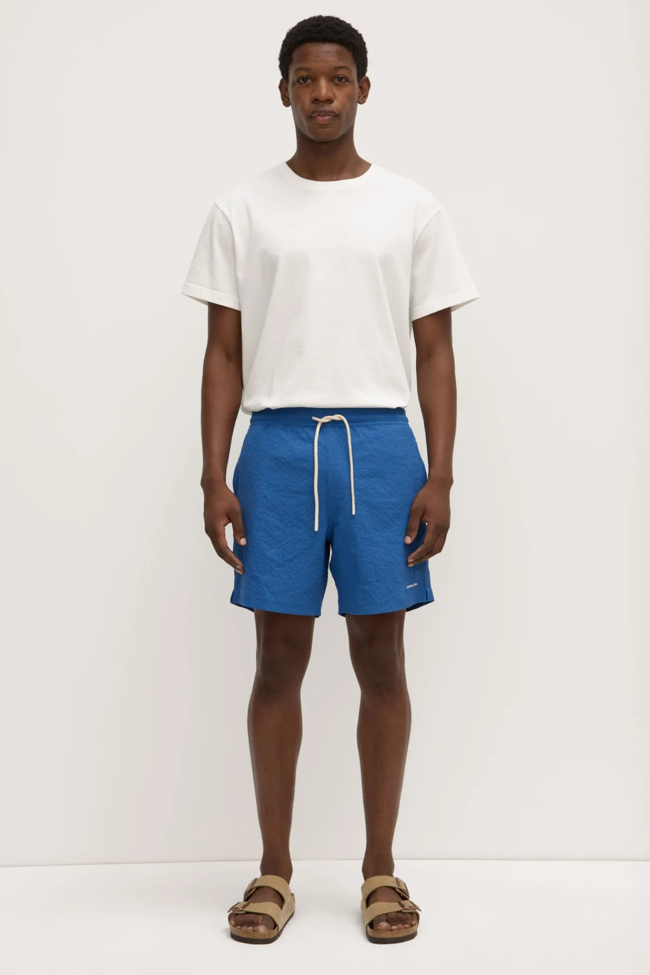 Seth Swim Short^Assembly Label Best