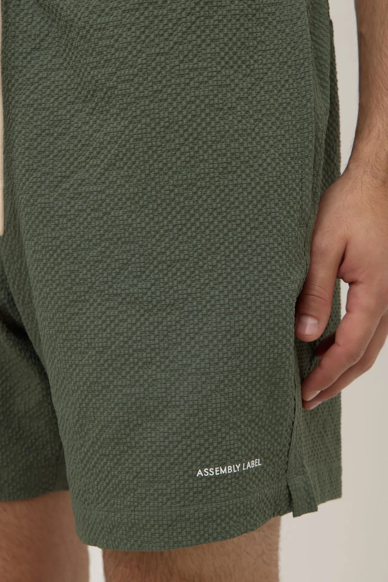 Seth Swim Short^Assembly Label New